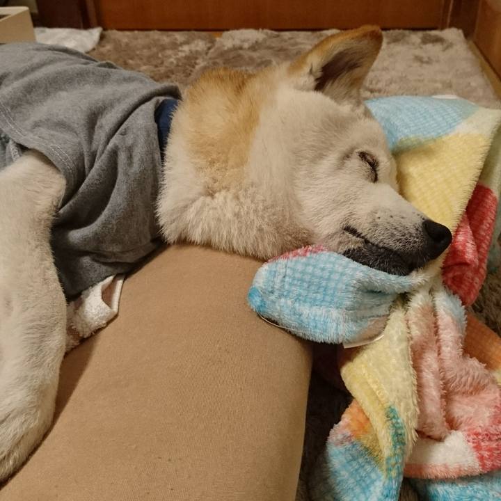 C4c05c0b aced 4648 9d25 b0d537155c91 1509717161986