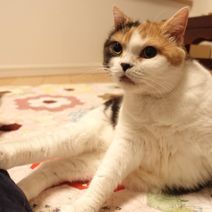 C4c1096b 6ee2 4232 b1d5 222138d33a5f 1522420565160