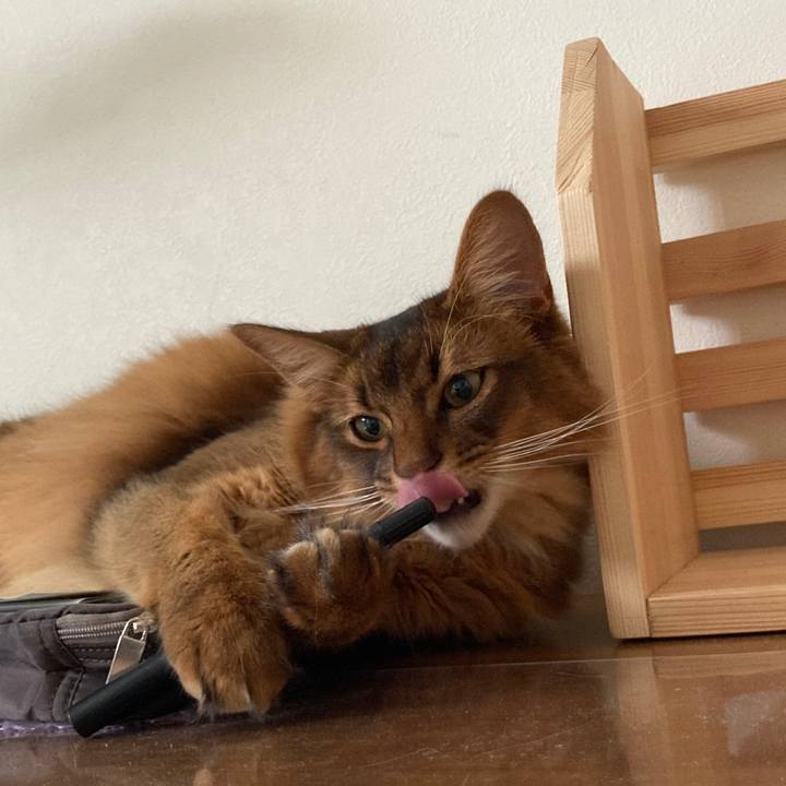 C4c10c0d 80c2 43f0 b55d 8136633d3bea 1624780207312