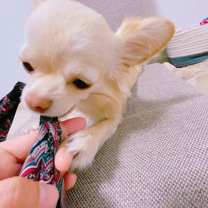 C4c12829 dc62 43ec 99f9 c1bfeee74134 1620201449862