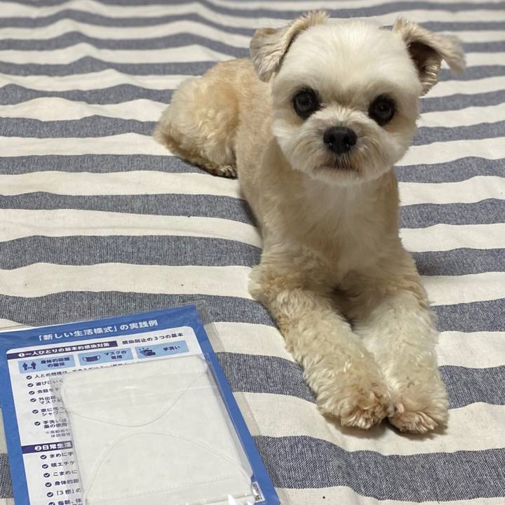 C4c12b48 9a85 4b8c aa96 c32c6440bdea 1591010303181