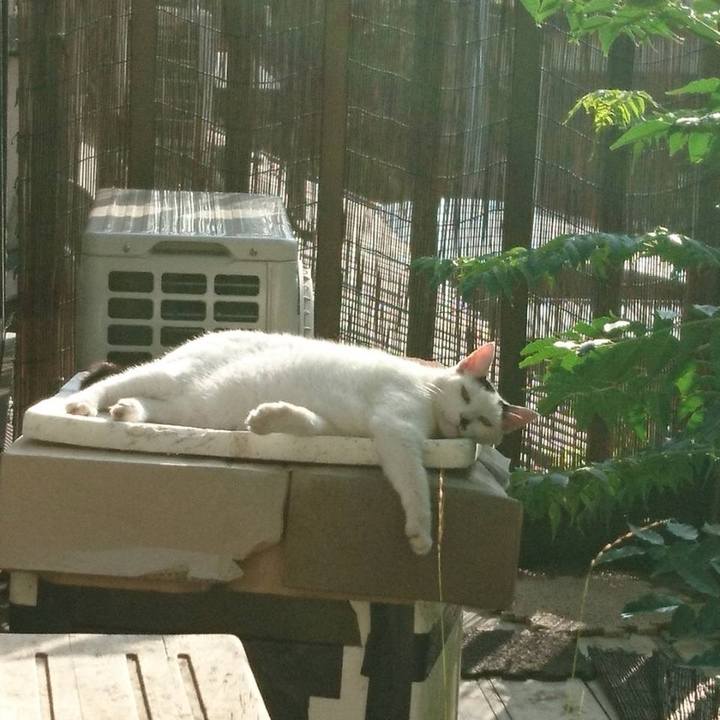 C4c12ba9 8030 483c 8c20 3d32440230b8 1721903404683