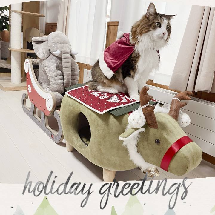 C4c18c4d 19fc 4f40 b2e9 e58569daefa1 1766461066750