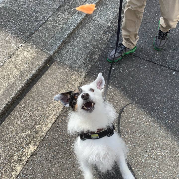 C4c1ad2f 5163 4a80 bbe1 5a55a4f6b4c3 1745021170306