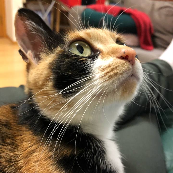 C4c1ea99 126a 4c51 91ca cec253f9b440 1524834227190