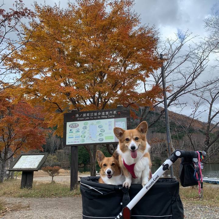 C4c21261 948d 4fa0 ae97 402f624a2cda 1636011377037