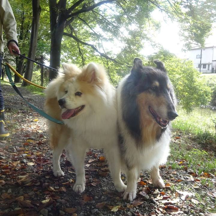 C4c2318b 13d5 434a 928f bf666c04c6d5 1603019739274