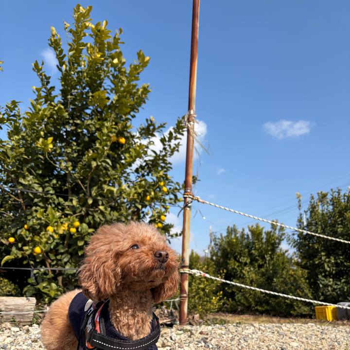 C4c24f7b 0432 4bce 88c1 b01c4ac39e09 1770331052936