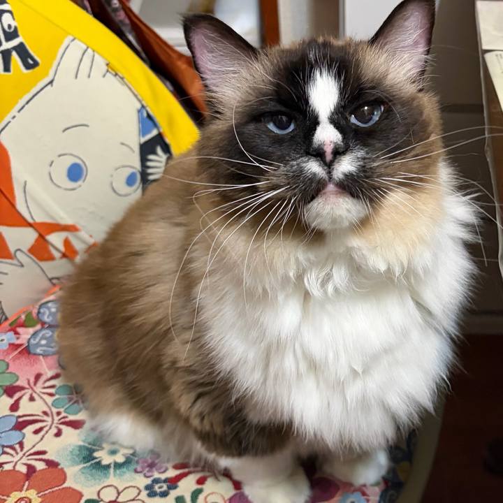 C4c29750 7281 4b82 a3c2 d5d7c2f4753f 1771154923493