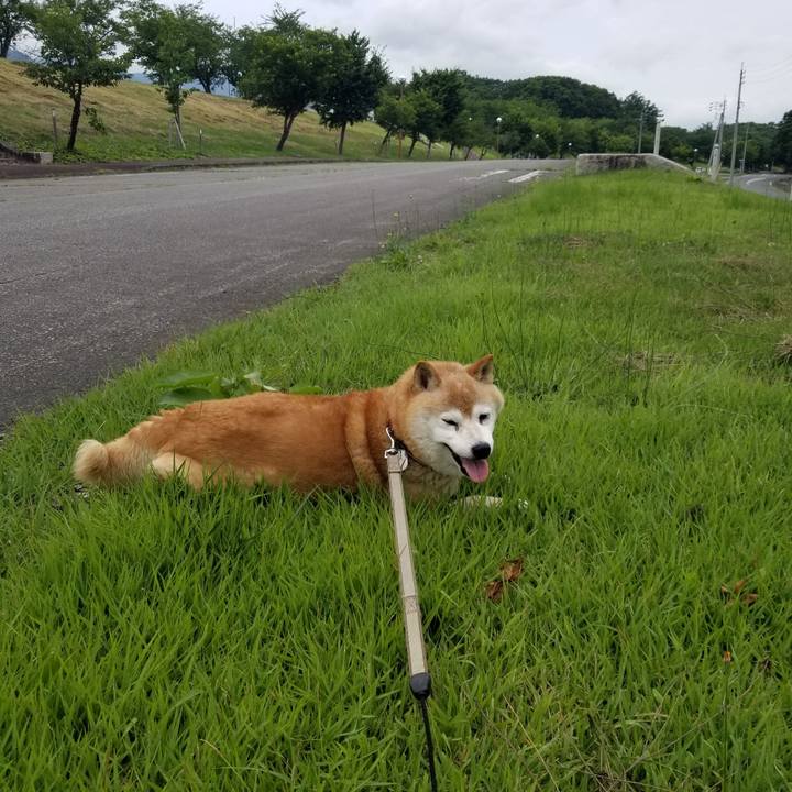 C4c2c598 a7fb 4118 8e70 1d976ca94e74 1719897843622