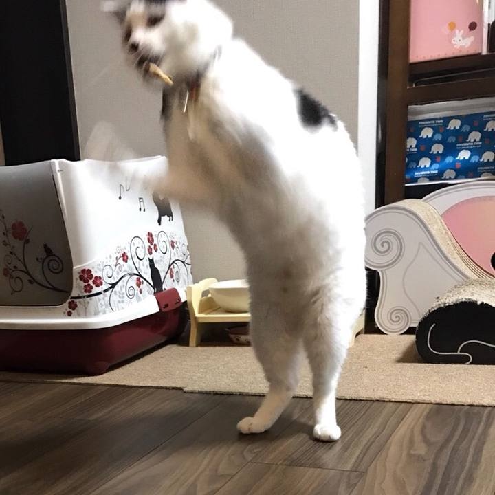 C4c2f912 8727 497c 9148 4195fb786f87 1508174452271