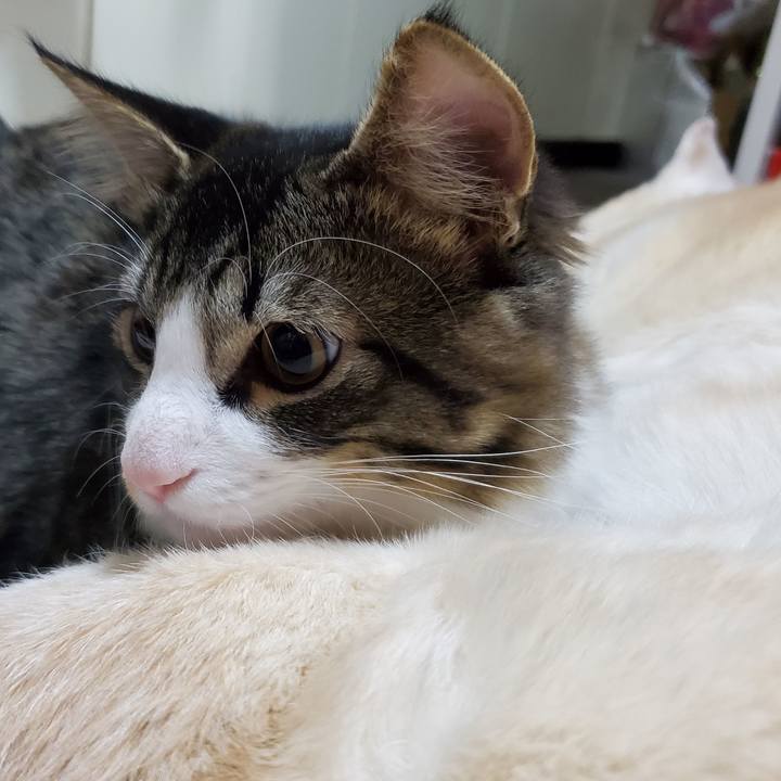 C4c30eca 5e01 437d 94f7 0e1bf70b63ab 1638989190289