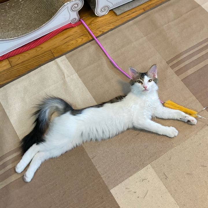 C4c32130 97a5 41e3 bd9c 1fa0cafefb7b 1724849412764