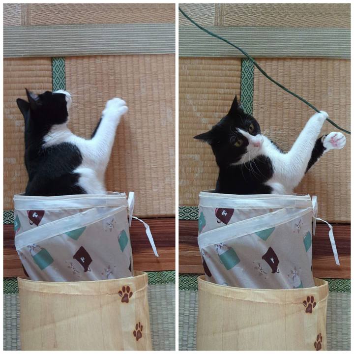 C4c3375e 0323 49f6 aeef 1493bfb87e3c 1699156932143