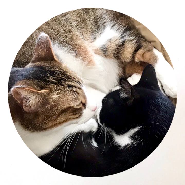 C4c339cb c812 4b6f 8b9d 99ceb3da8ecc 1552457563072