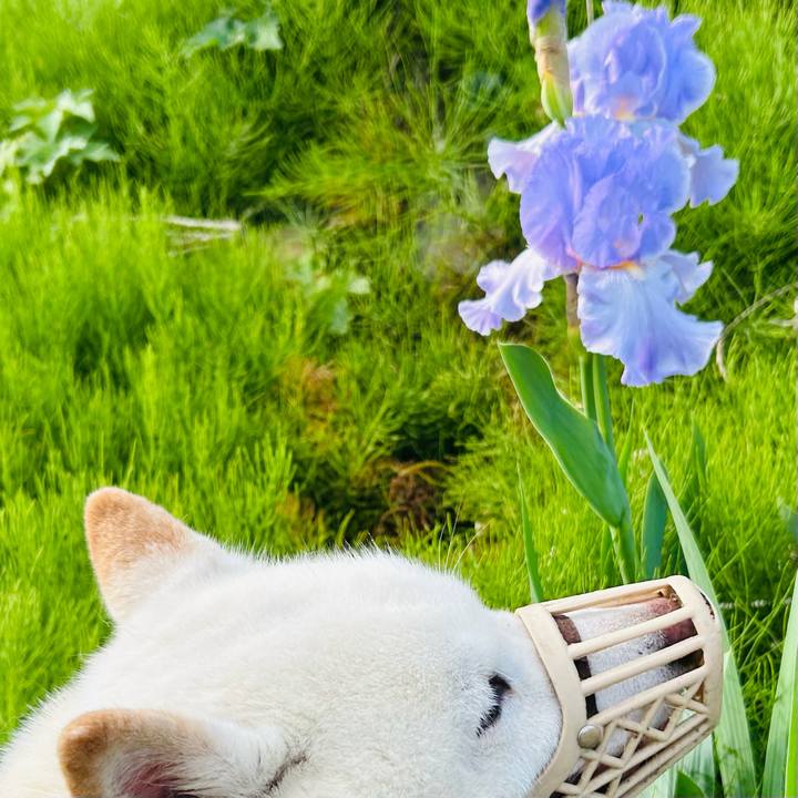 C4c33b19 d113 4304 93b5 e2486a83995c 1749416854915