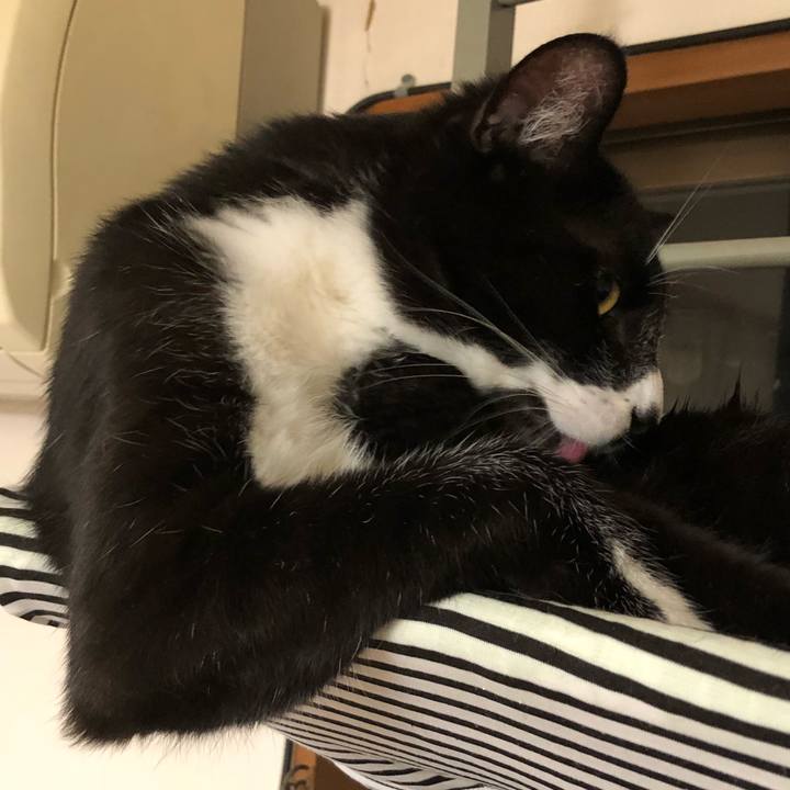 C4c36dc4 2268 4c9d ade6 036c99b391f3 1529293246254