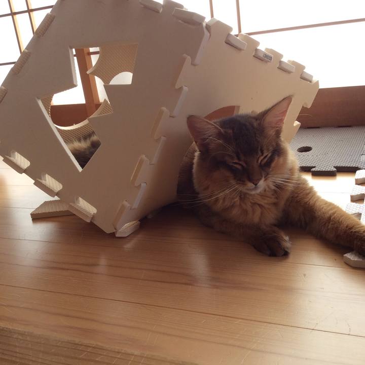 C4c3e2d5 23e3 477e ae55 c7bf5ee3e0cd 1577266150625