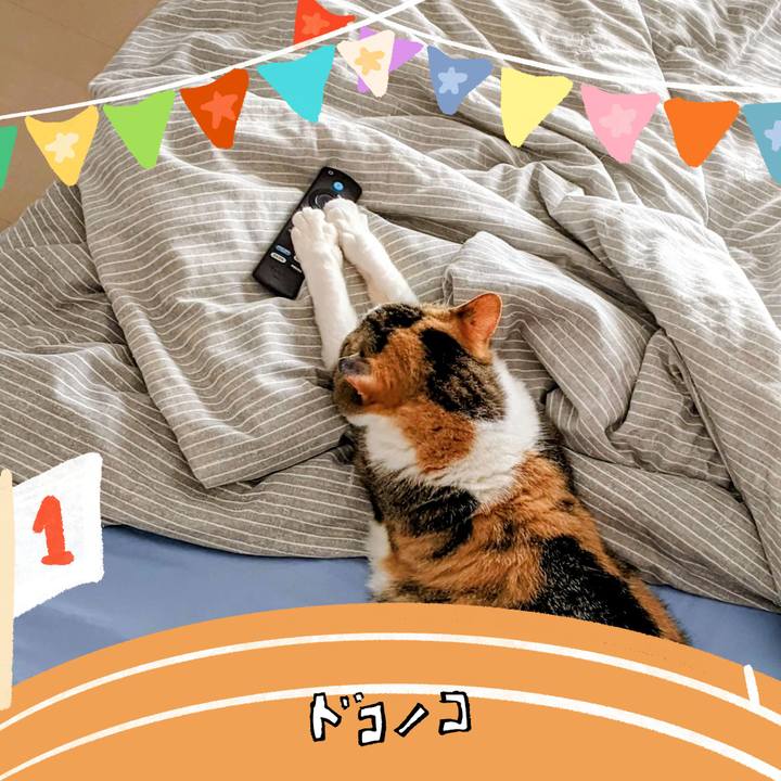 C4c3f24e cd91 469e a664 4b42486e2475 1761288516083