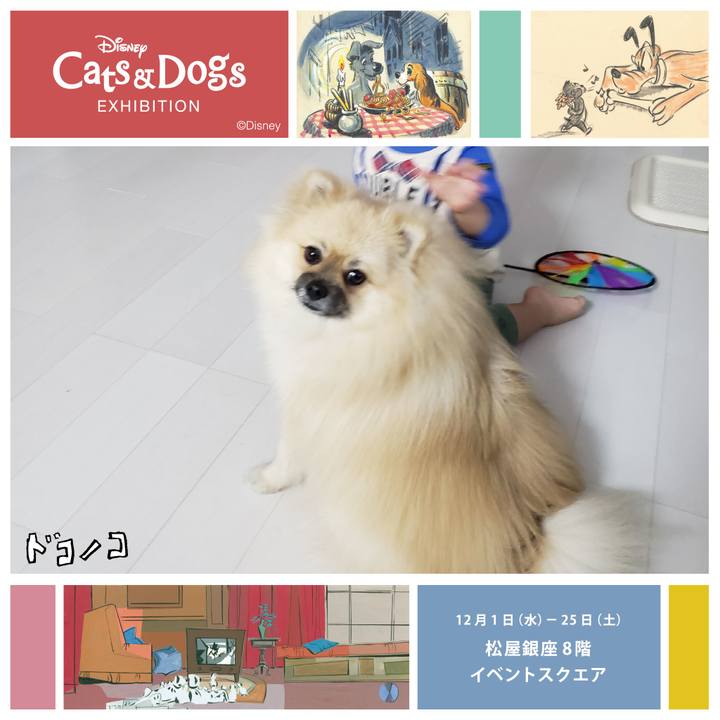 C4c419ab cc2b 43fc 803e 4a4953458b33 1638359343290