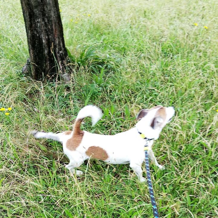 C4c439db 66f7 431e 92ce 5a738af37824 1560661581018