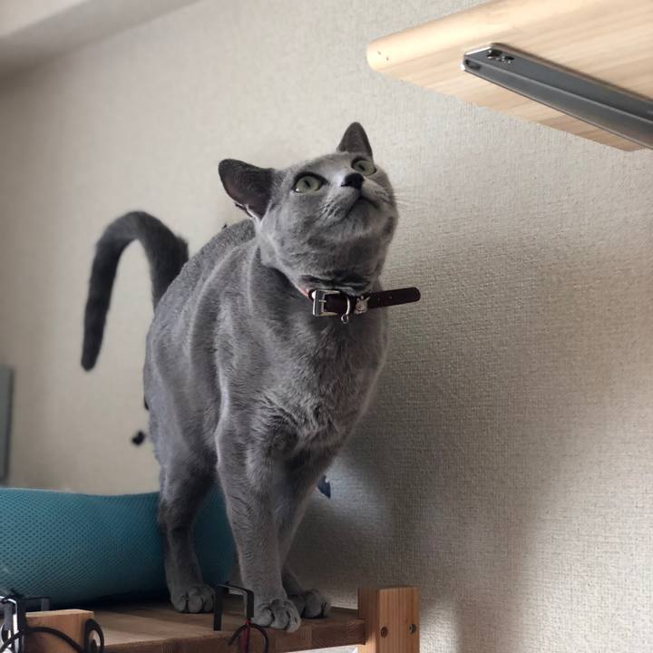 C4c48ec0 5f3a 4445 8556 86a2497f038a 1550394057485