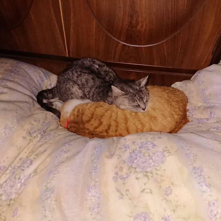 C4c48f37 7d80 41ee b898 87c933589237 1578857434364