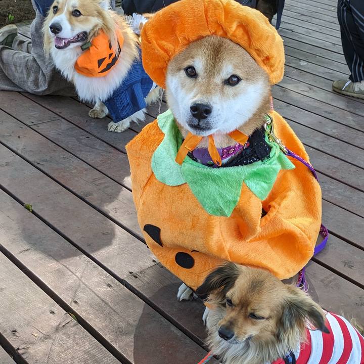 C4c49b09 f6e9 42d7 acf4 f020bbba4fac 1698714359199