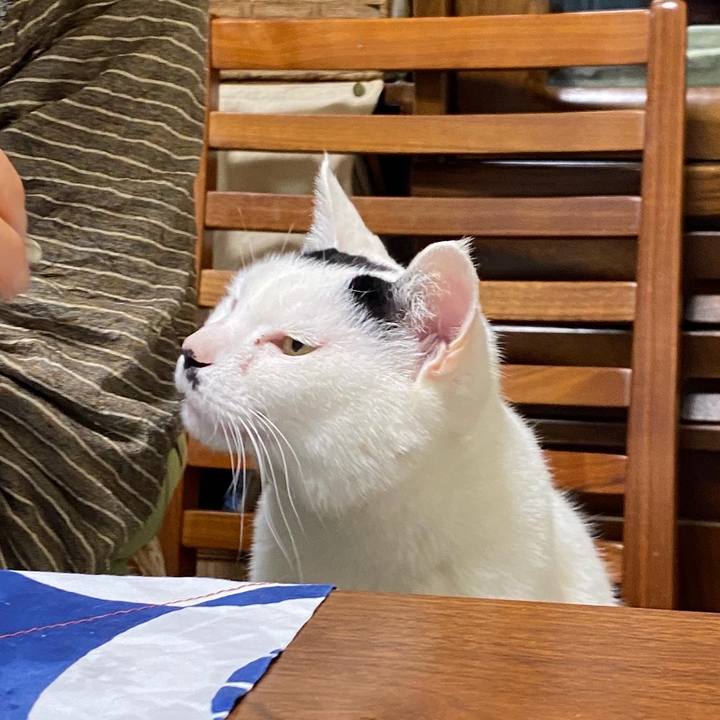 C4c4abe1 3cf9 4ff3 8a31 60fc438cfc48 1646315251695