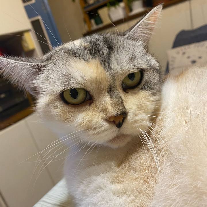 C4c4ef45 1f99 427c a4bf 49a98fa0f146 1634027546682