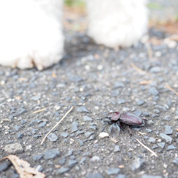 C4c5218a 95bf 4e88 b38a d781a6f1eac9 1537752745179