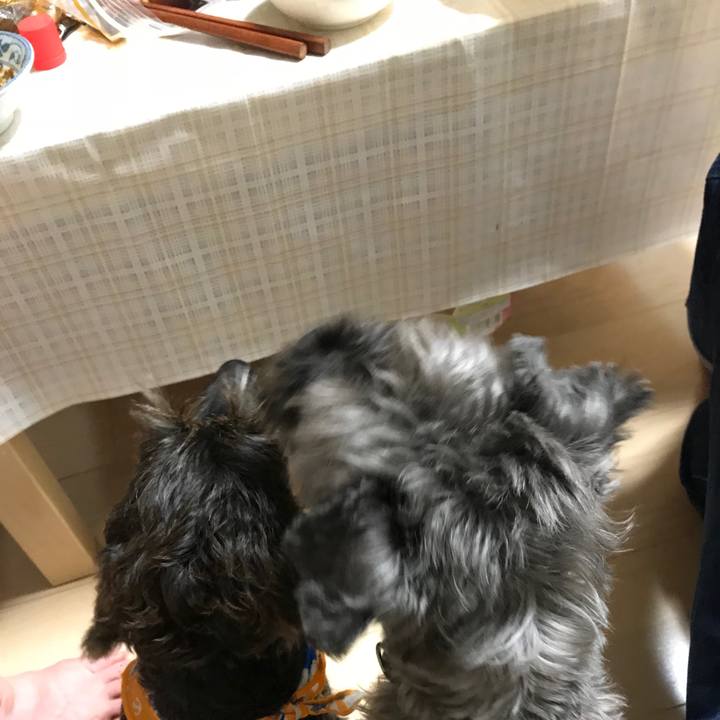 C4c548cb bc96 4885 943d c4d3d1850ed6 1535891115216