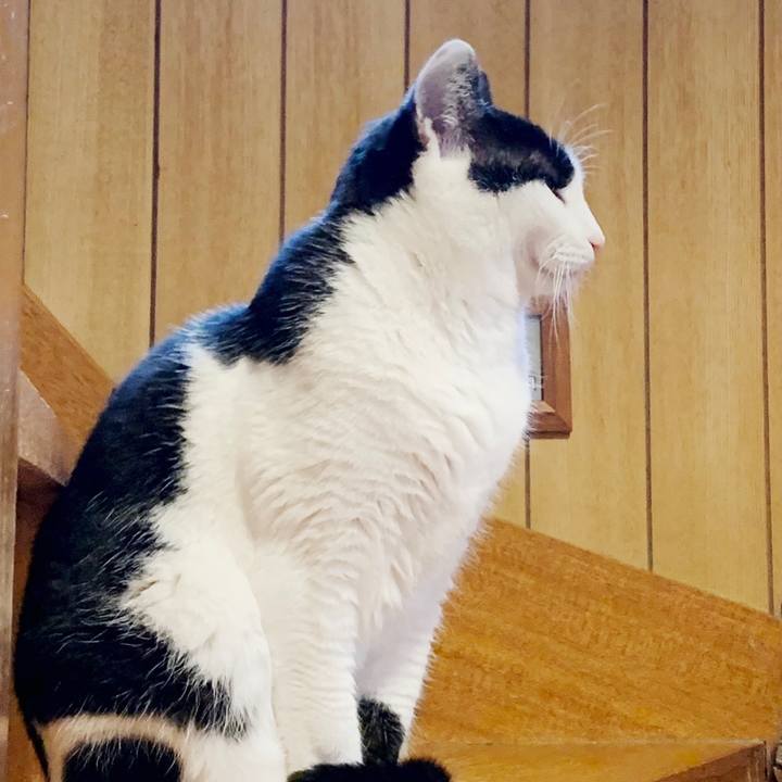 C4c56928 e0af 4a7d b528 09b7fe23a9d1 1551230634328