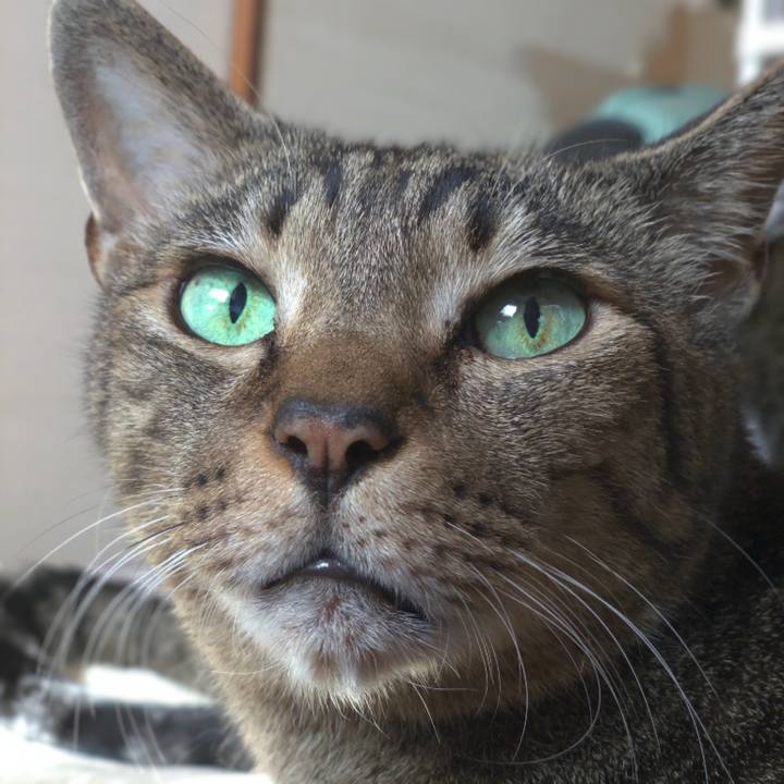 C4c5a239 739f 4db8 8618 b829ac3beaca 1540690800245