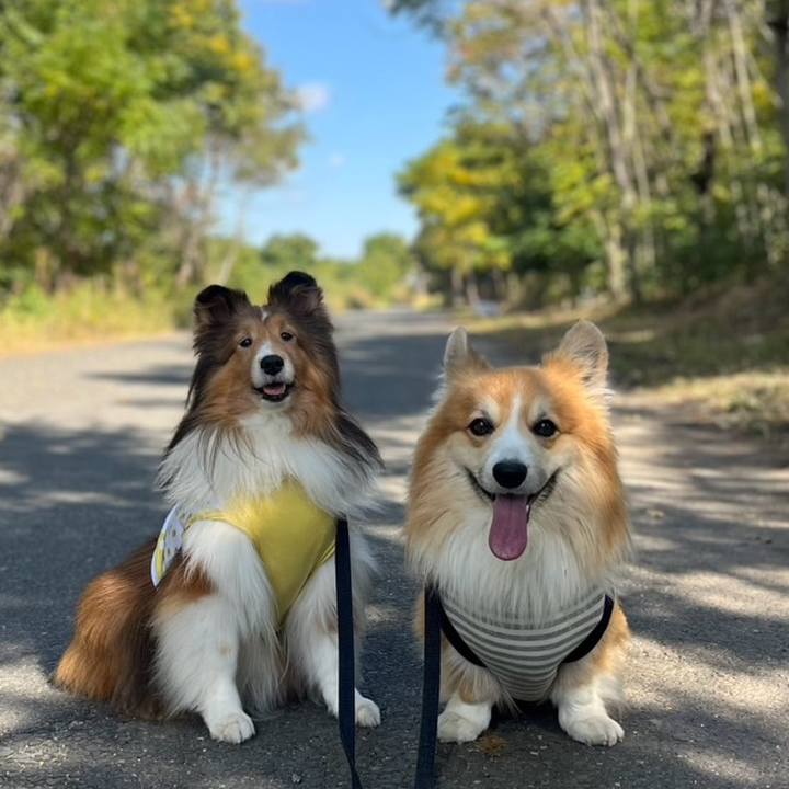 C4c6f9cd 18c0 4684 b3c3 e8fdd411af28 1763257968045