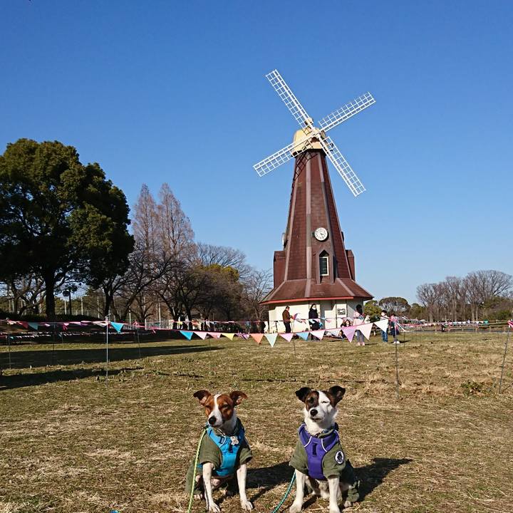 C4c6fe93 167b 484b 8023 484e009b5c4e 1614411388160