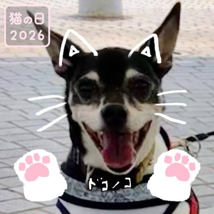 C4c700ef 70a6 4c17 99c2 2c872f5c1486 1771757878146