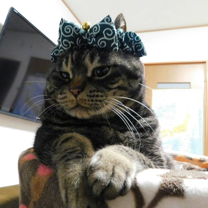 C4c70324 03fc 437c 92cd 8f42c29d8422 1518879617775