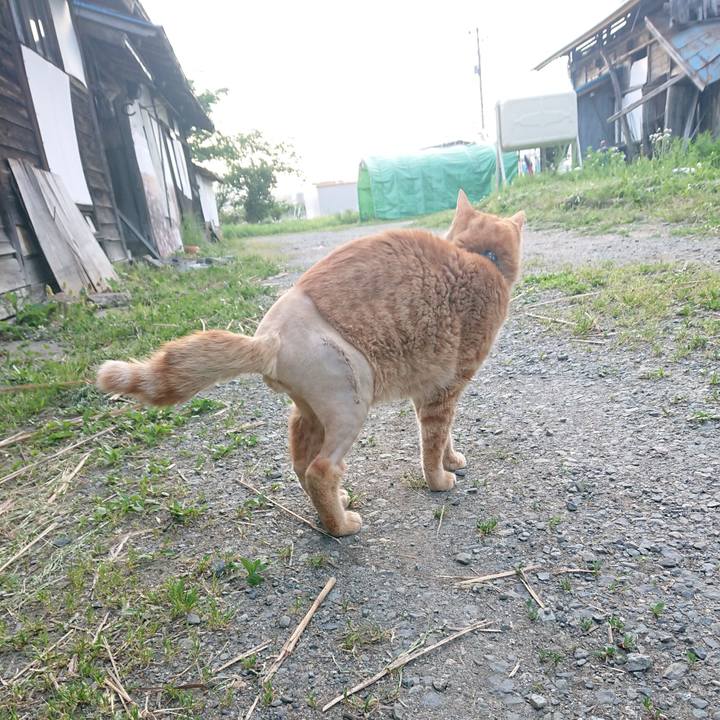 C4c76028 4942 41da b171 bded7abe6fc1 1653944307643