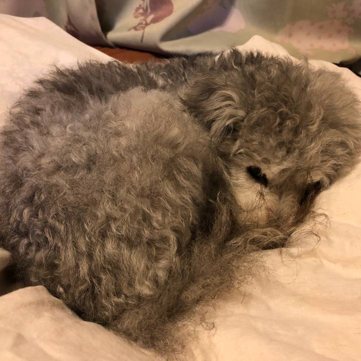 C4c7b32e 9ab3 4c48 92fa 5bb5958a639c 1556637115607