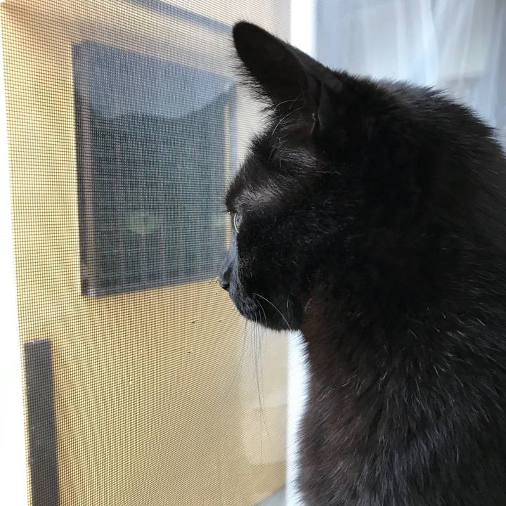 C4c7e90e cfda 458a 8e32 257abeb4bc99 1525309802106