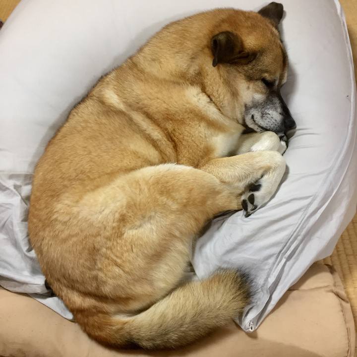 C4c8061b a325 490c a922 51575d488580 1573131261027