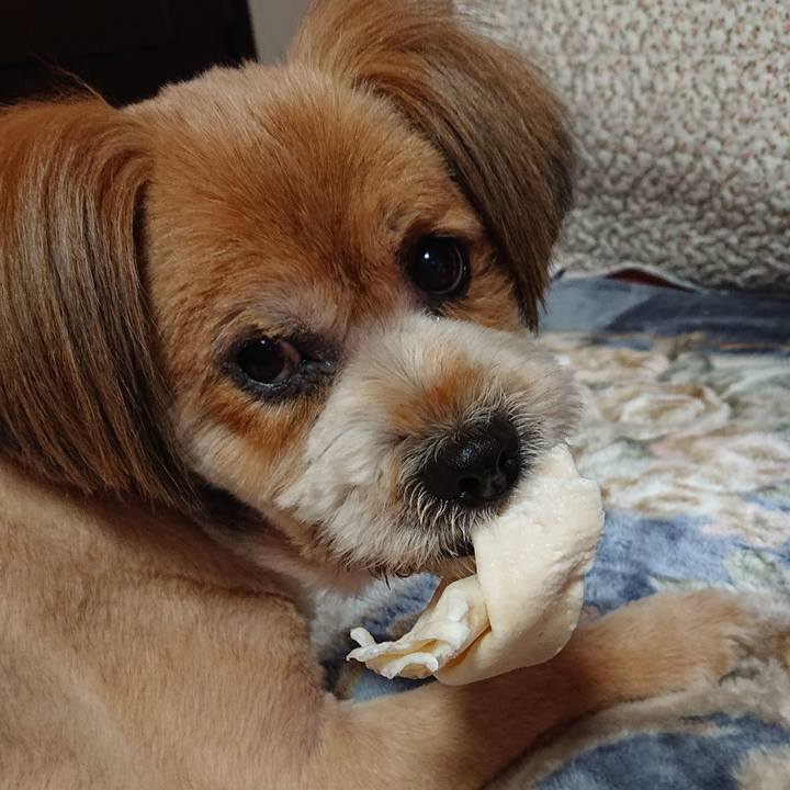 C4c83354 4592 4dbb 90d4 a315899209c1 1585727208105