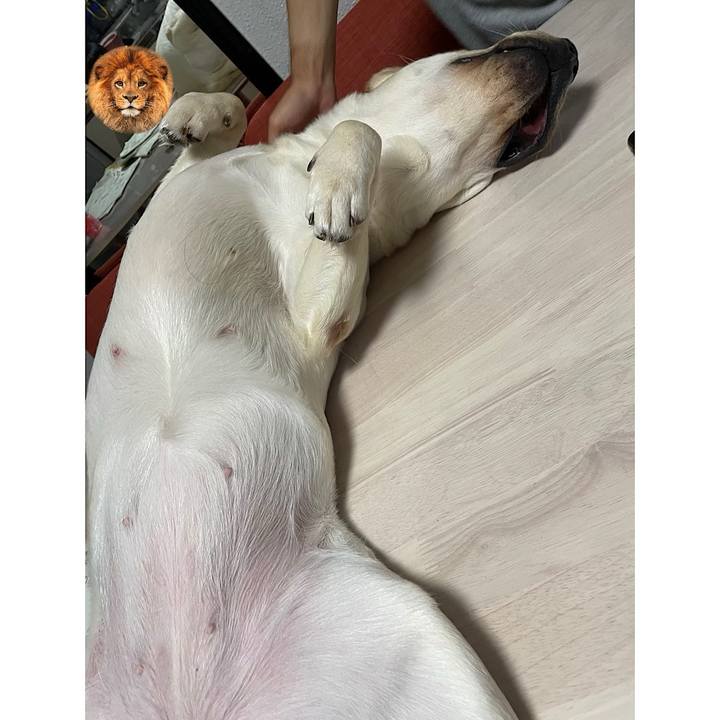 C4c85d80 c47f 4491 aae9 be998199dbfd 1658755123354