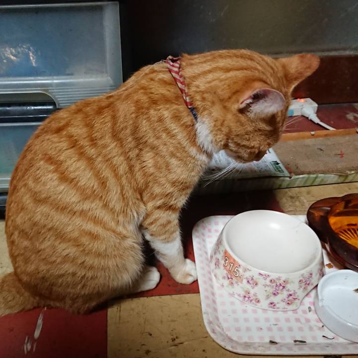 C4c87396 44b8 415e a080 ae0348268f3f 1564516184228