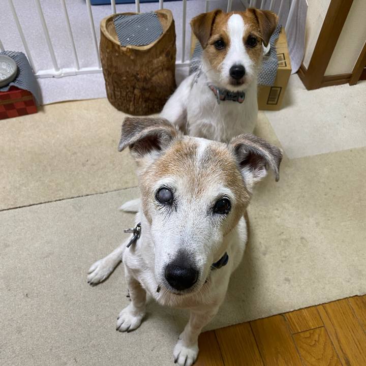 C4c87eec 8749 4add ba28 b2b7adfa179d 1682854247968