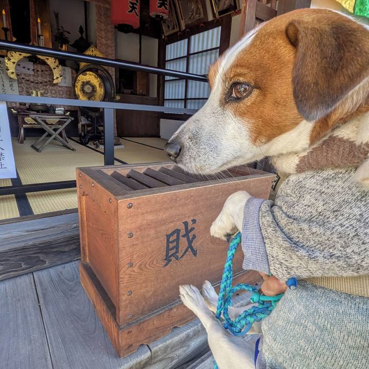 C4c8b092 f0ba 4a68 8209 501f7892f3dc 1767483169204