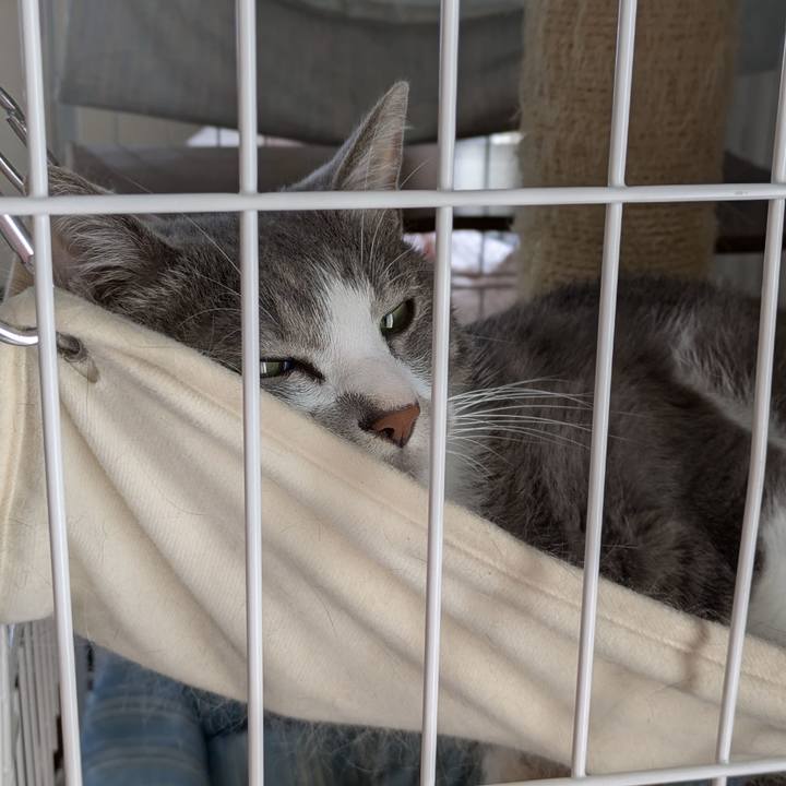 C4c8ba2b 71fb 4cac b3c7 2a8d21953b13 1757471147084