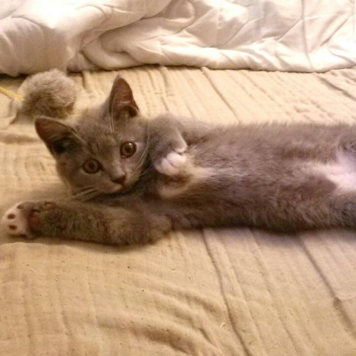 C4c8c9f9 0185 4634 b094 c7c53a4ac4db 1531866216461