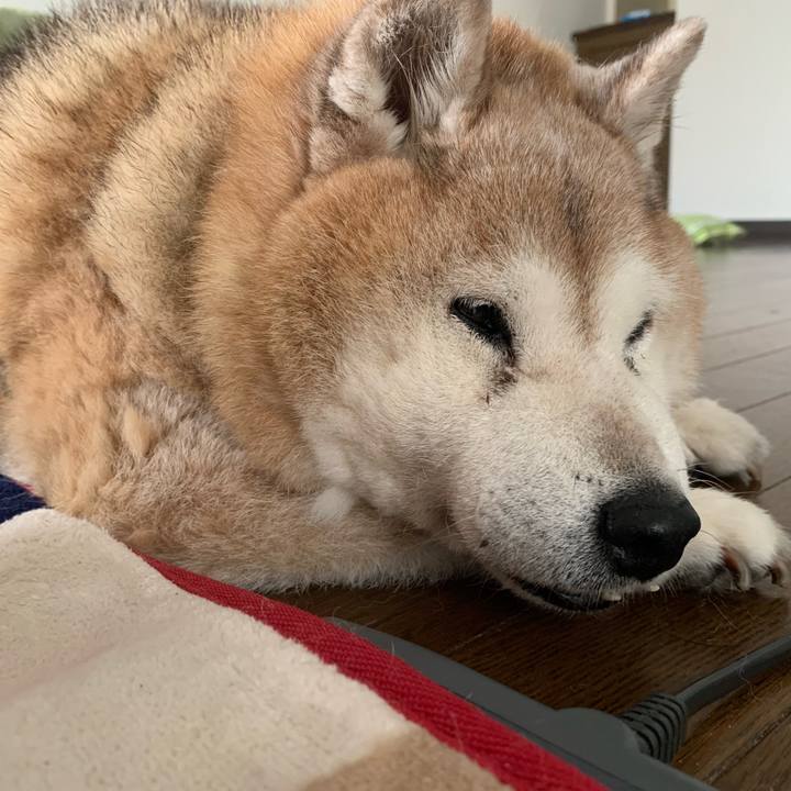 C4c941db 300e 4116 9796 5acb82d71827 1653010644819